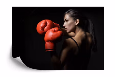 Fototapet - Beautiful boxer