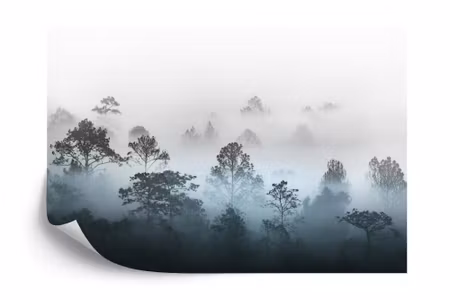 Fototapet - Forest in fog