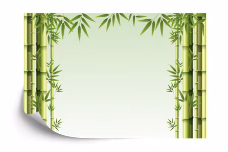 Fototapet - Bamboo forest