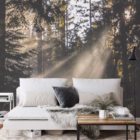 Fototapet - Forest in fog