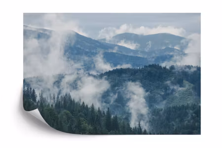 Fototapet - Forest in fog