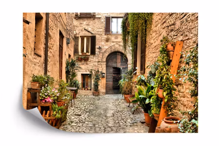 Fototapet - Alley flowers