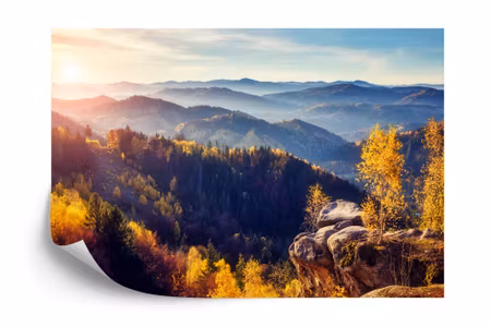 Fototapet - Landscape mountains forest