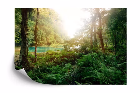 Fototapet - Forest trees water