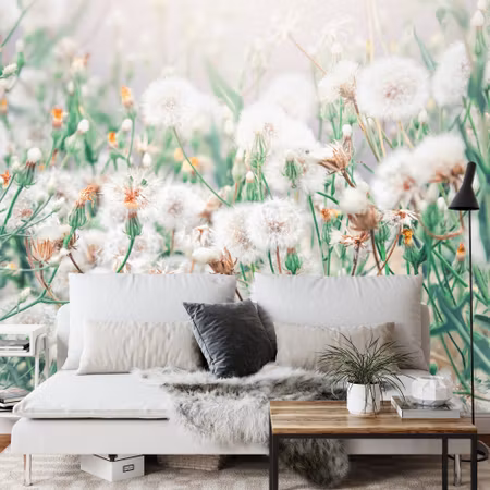 Fototapet - Dandelion