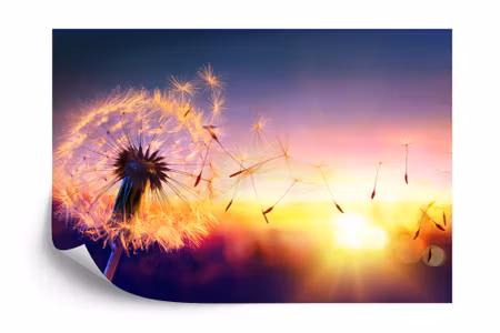 Fototapet - Optical dandelion