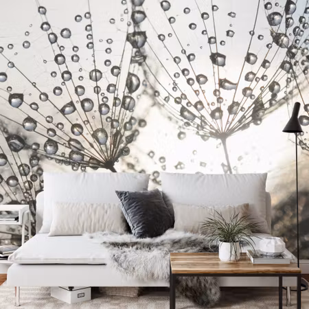 Fototapet - Dandelion drops