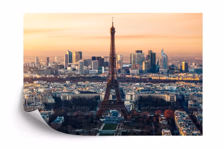 Fototapet - Panorama of paris