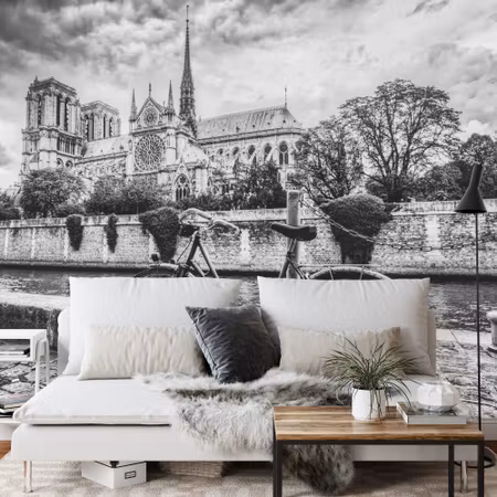 Fototapet - Paris black and white