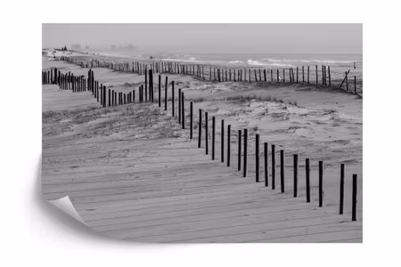 Fototapet - Beach sea dunes