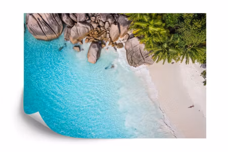 Fototapet - Beach ocean palm trees