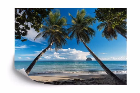 Fototapet - Beach ocean palm trees
