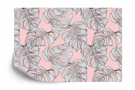 Fototapet - Monstera leaves