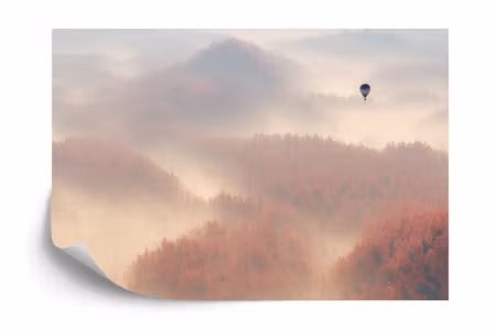 Fototapet - Forest in fog
