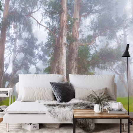 Fototapet - Forest in fog
