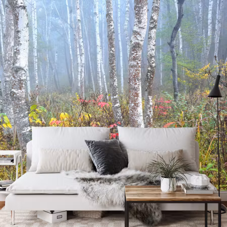 Fototapet - Forest in fog