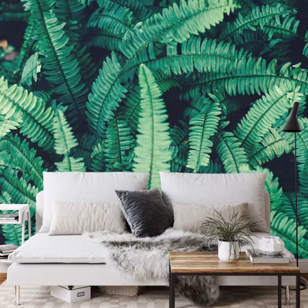 Fototapet - Fern leaves