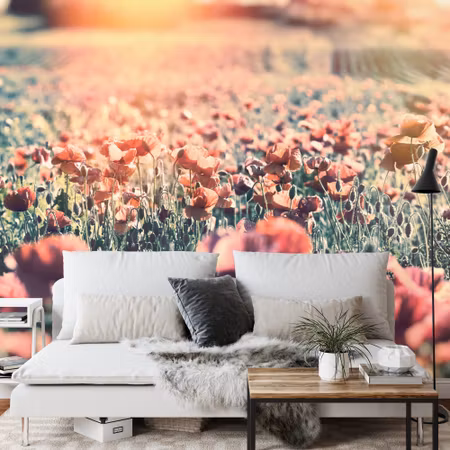 Fototapet - Meadow full of poppies