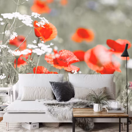 Fototapet - Wild red poppies