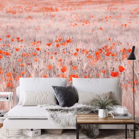 Fototapet - Poppy field