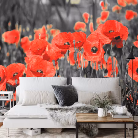 Fototapet - Poppies flowers