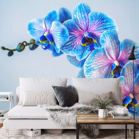 Fototapet - Colorful orchid