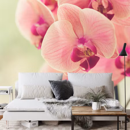 Fototapet - Beautiful orchid