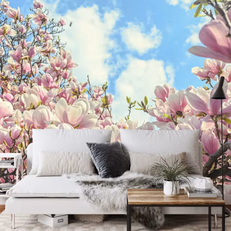 Fototapet - Colourful flowering magnolia
