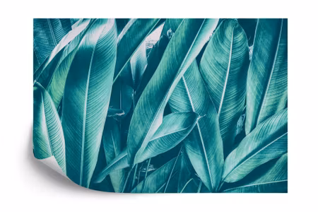 Fototapet - Exotic vintage leaves