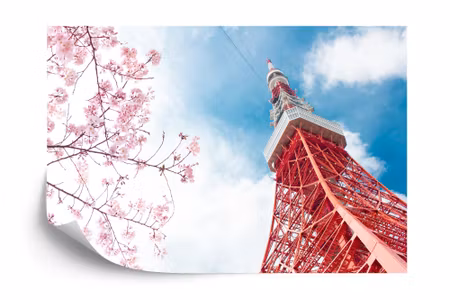Fototapet - Tokyo tower in the sky