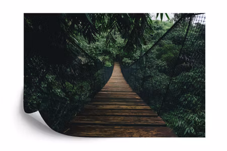 Fototapet - Suspension bridge in a forest
