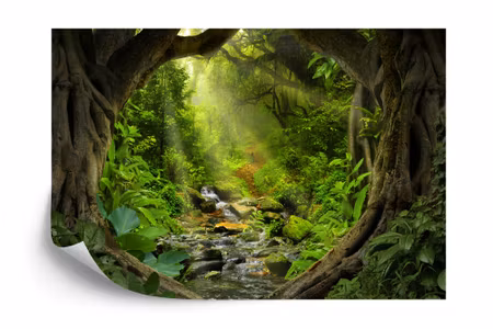 Fototapet - The hidden way iq1237