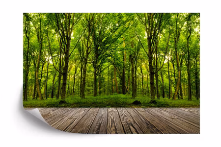 Fototapet - Step into the deep green wood iq1231