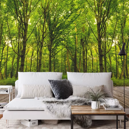 Fototapet - Step into the deep green wood iq1231