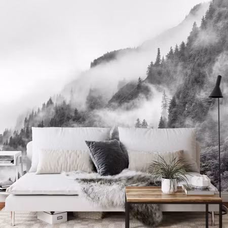 Fototapet - Mist in the forest noir iq1235