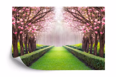Fototapet - Garden dreams iq1244