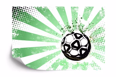 Fototapet - Football stars i iq1335
