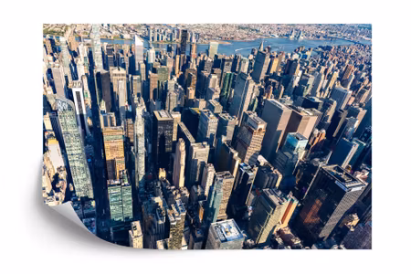 Fototapet - Skyscraper forest iq1203a