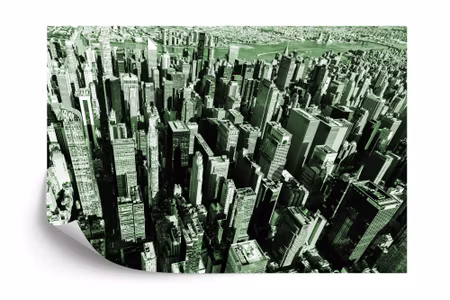 Fototapet - Skyscraper forest in green iq1203e