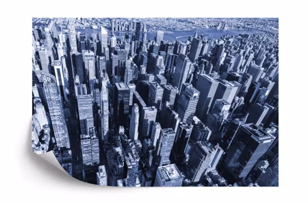 Fototapet - Skyscraper forest in blue iq1203g