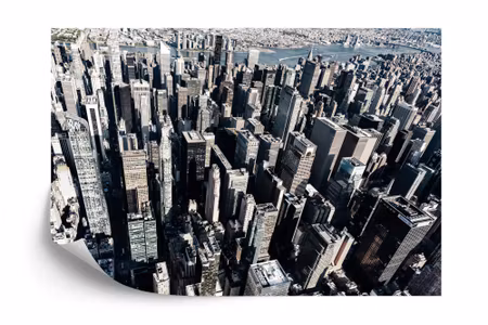 Fototapet - Skyscraper forest cool filter iq1203c