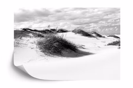 Fototapet - Afternoon in the dunes black &ampamp