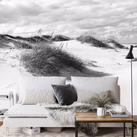 Fototapet - Afternoon in the dunes black &ampamp