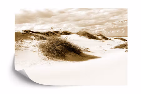 Fototapet - Afternoon in the dunes in sepia