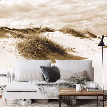 Fototapet - Afternoon in the dunes in sepia