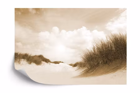 Fototapet - Sandy days in sepia iq1216b
