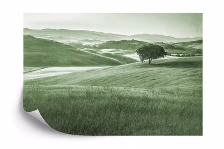 Fototapet - Rolling hills faded vintage in green
