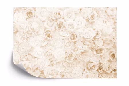 Fototapet - Floral faded vinage sepia iq1221b
