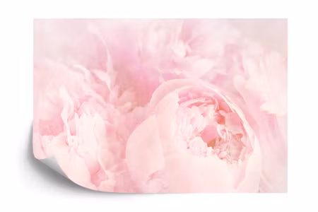 Fototapet - Beautiful blooms faded vintage pink