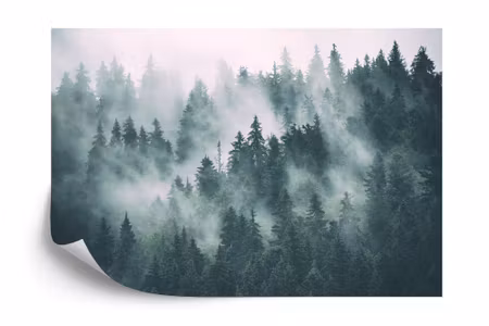 Fototapet - Forest in the mist iq1227a